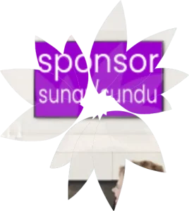 TV Radyo Reklam Planlama ve Yayın Hizmetleri 16 Program ve dizilerde sunar sundu sponsorluk reklam türü nedir